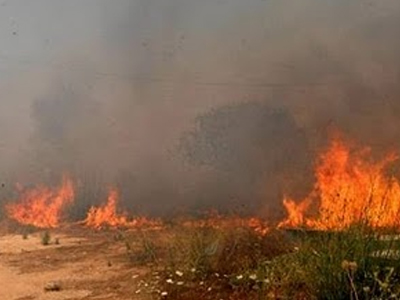 Υπό μερικό έλεγχο η πυρκαγιά στη Βοιωτία